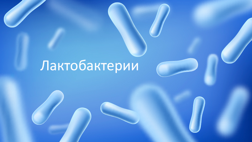 Какие препараты помогут восстановить микрофлору: полезные советы