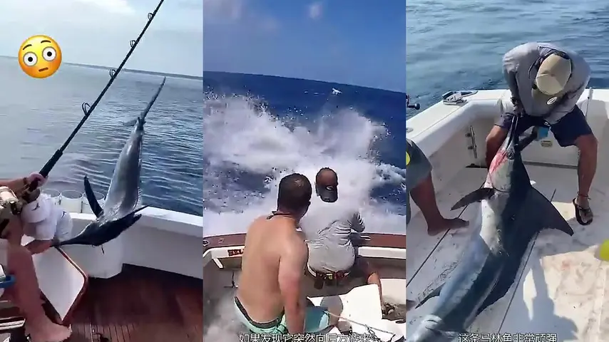 Морская рыбалка в Китае: три моря и как не ошибиться поясом